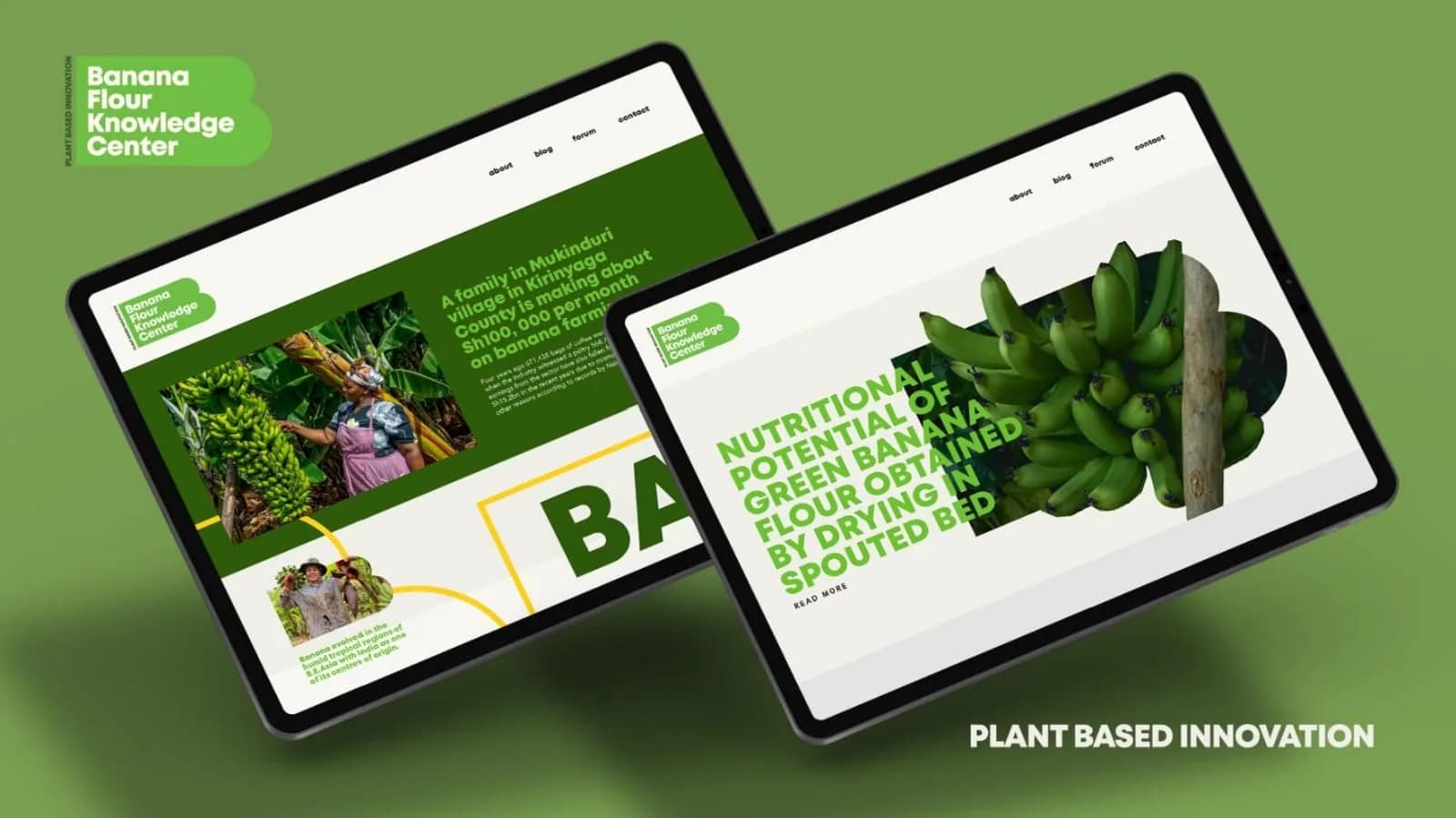 Made’s Banana Flour Pitch Deck