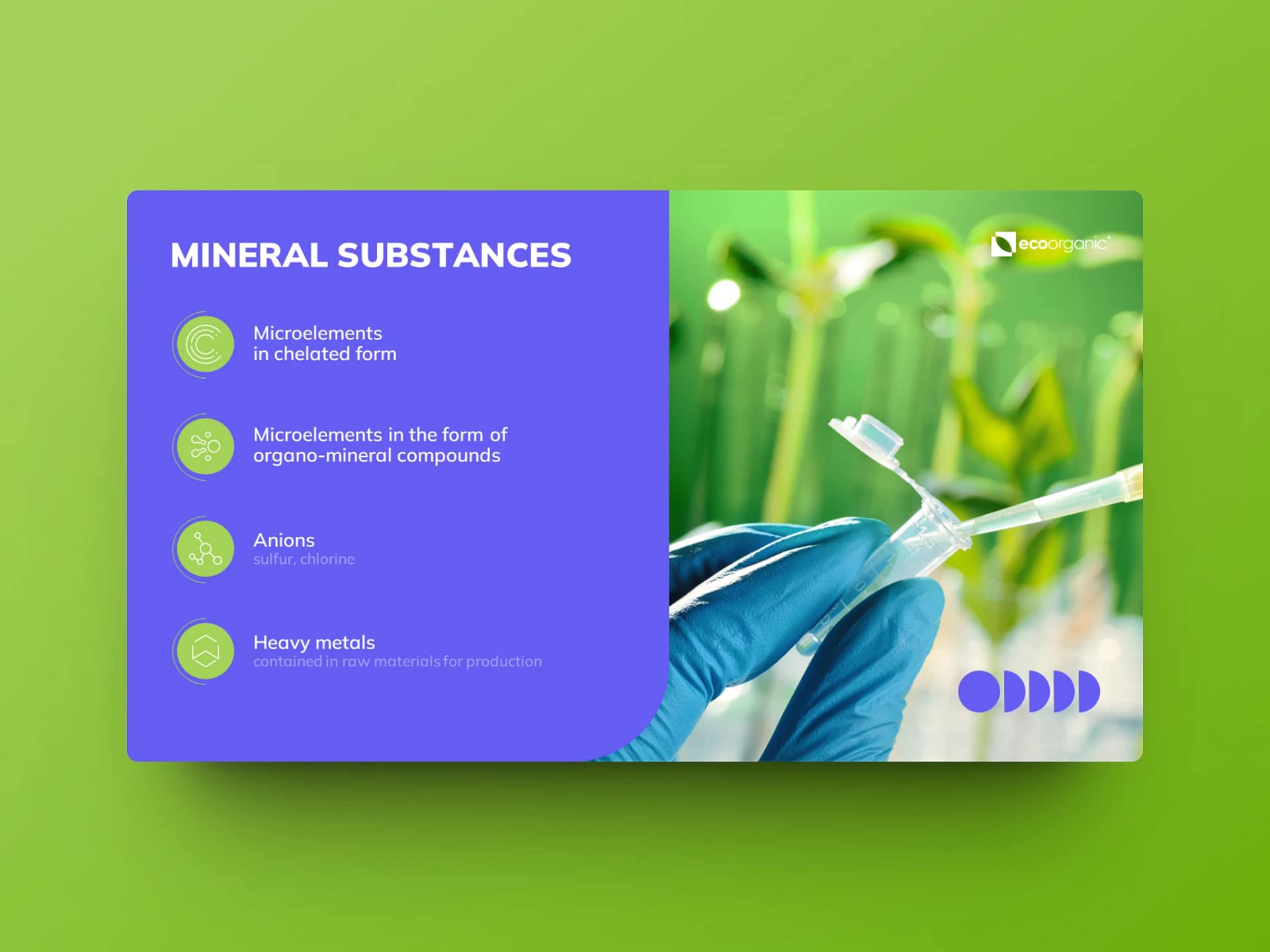 Product Presentation & Infographic Design