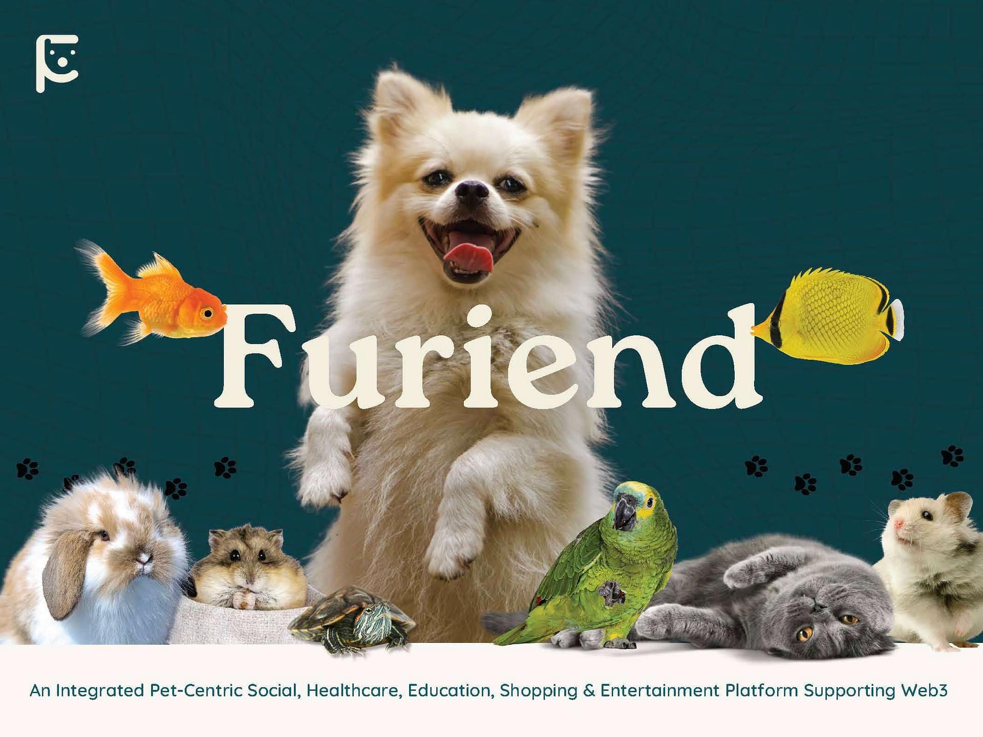 Furiend Investor Pitch Deck
